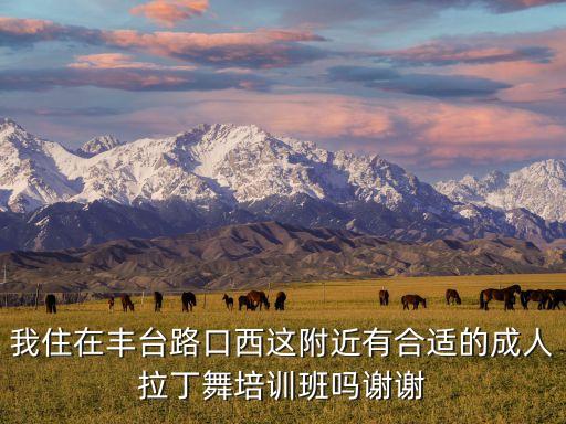 我住在丰台路口西这附近有合适的成人拉丁舞培训班吗谢谢
