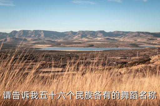 请告诉我五十六个民族各有的舞蹈名称