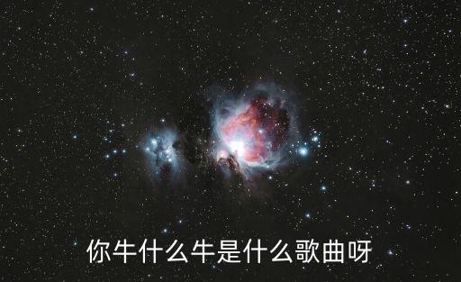 你牛什么牛是什么歌曲呀