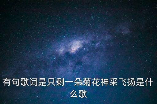 有句歌词是只剩一朵菊花神采飞扬是什么歌