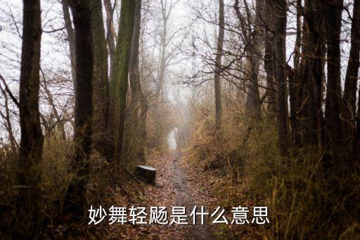 妙舞轻飏是什么意思