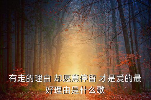 有走的理由 却愿意停留 才是爱的最好理由是什么歌