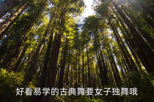 好看易学的古典舞要女子独舞哦