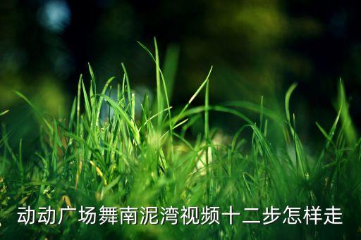 动动广场舞南泥湾视频十二步怎样走