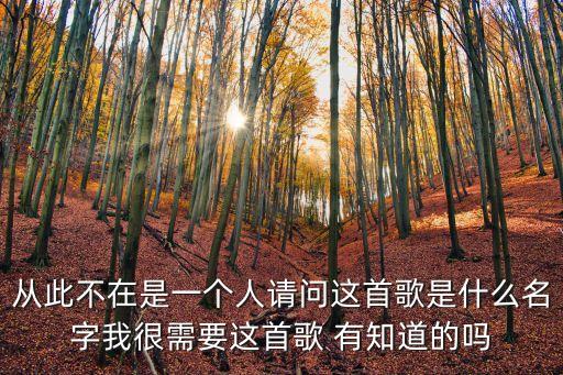 从此不在是一个人请问这首歌是什么名字我很需要这首歌 有知道的吗