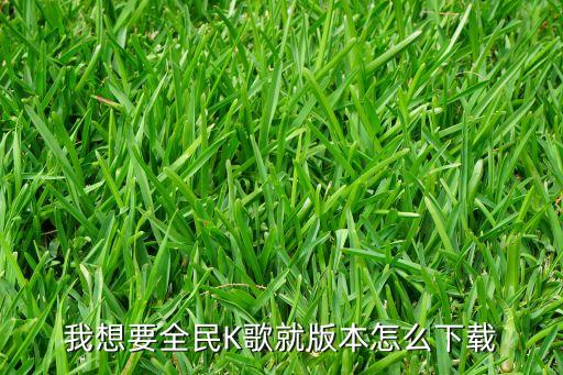 下载全民k歌最新版本2023年，全民k歌251版本在哪里可以下载
