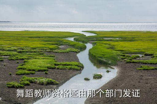 舞蹈教师资格证由那个部门发证