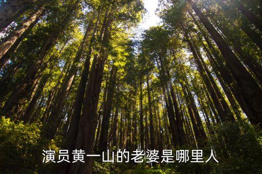 演员黄一山的老婆是哪里人
