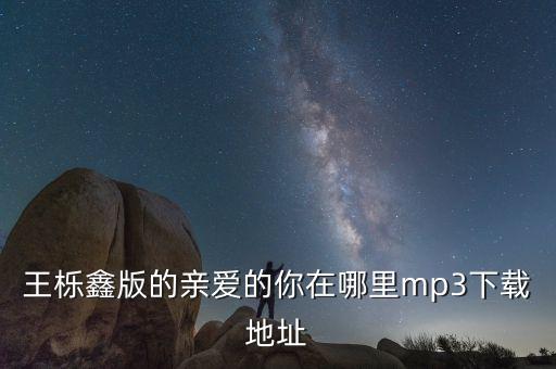 王栎鑫版的亲爱的你在哪里mp3下载地址