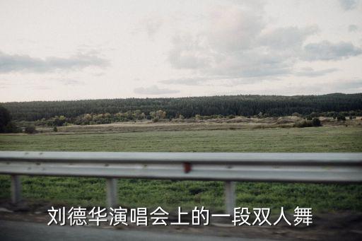 刘德华演唱会上的一段双人舞