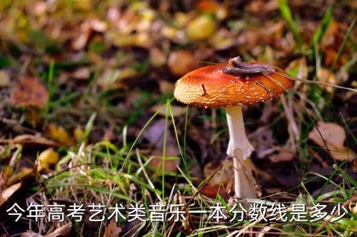今年高考艺术类音乐一本分数线是多少