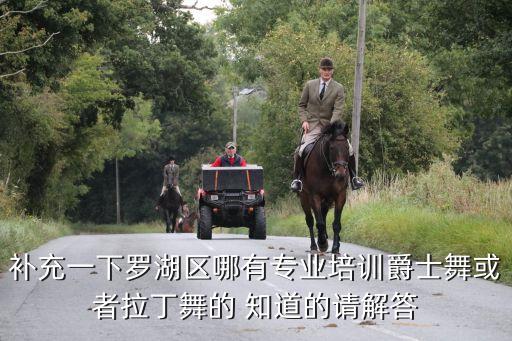 补充一下罗湖区哪有专业培训爵士舞或者拉丁舞的 知道的请解答