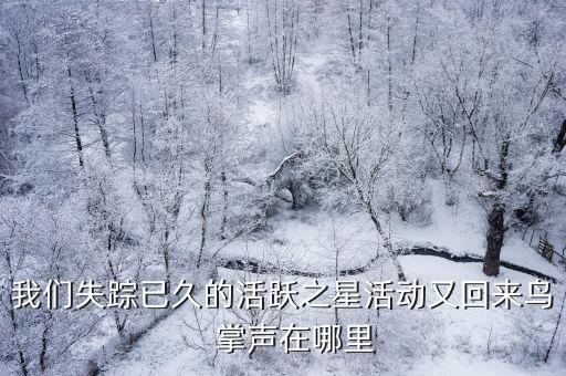 掌声在哪里所有广场舞，掌声在哪里