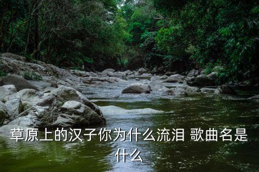 草原上的汉子你为什么流泪 歌曲名是什么