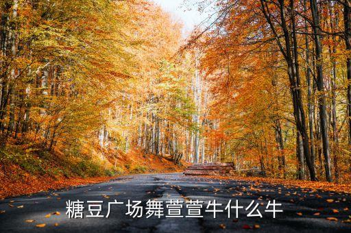 糖豆广场舞萱萱牛什么牛
