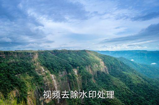 视频去除水印处理
