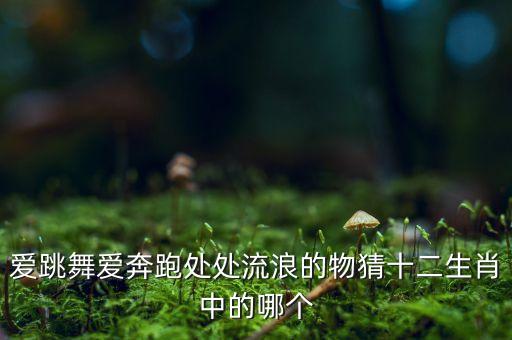爱跳舞爱奔跑处处流浪的物猜十二生肖中的哪个