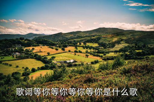 歌词等你等你等你等你是什么歌