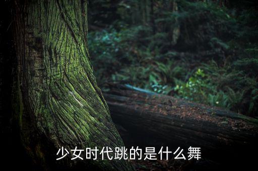 踢腿的舞蹈是什么意思，什么是踢踏