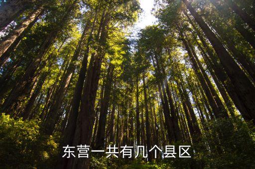 河口广场舞共有多少节，东营一共有几个县区