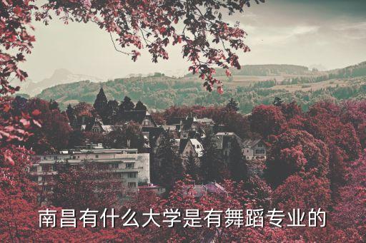 学跳舞的学校有吗江西，请问有谁知道江西哪里有舞蹈学校