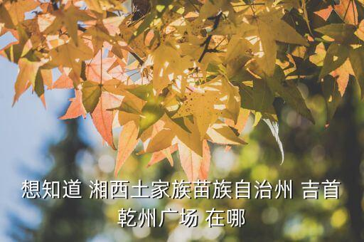 想知道 湘西土家族苗族自治州 吉首乾州广场 在哪