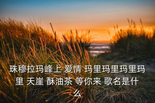 珠穆拉玛峰上 爱情 玛里玛里玛里玛里 天崖 酥油茶 等你来 歌名是什么