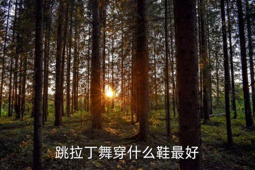 跳拉丁舞穿什么鞋最好