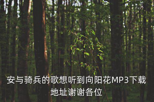 向阳花这首歌在哪里下载，安与骑兵的歌想听到向阳花MP3下载地址谢谢各位