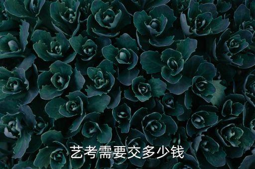 走艺考舞蹈需要多少钱，考北舞花多少钱