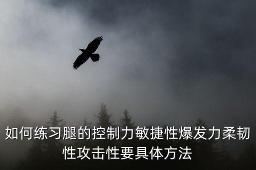 怎么练腿的控制，如何练习腿的控制力敏捷性爆发力柔韧性攻击性要具体方法