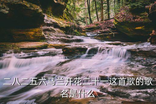 二八二五六马兰开花二十一这首歌的歌名是什么