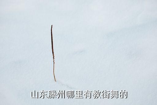 山东滕州哪里有教街舞的