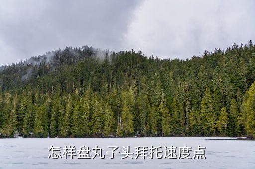 怎样盘丸子头拜托速度点