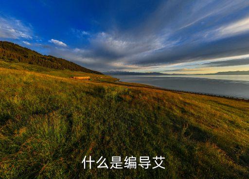 什么是编导艾