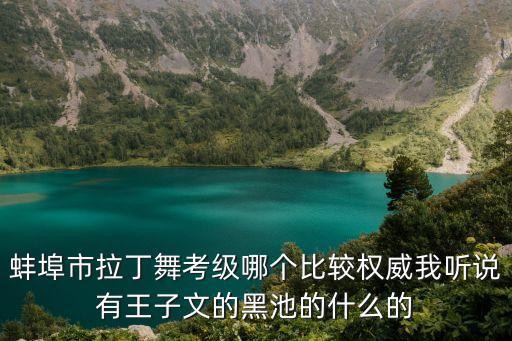 蚌埠市拉丁舞考级哪个比较权威我听说有王子文的黑池的什么的