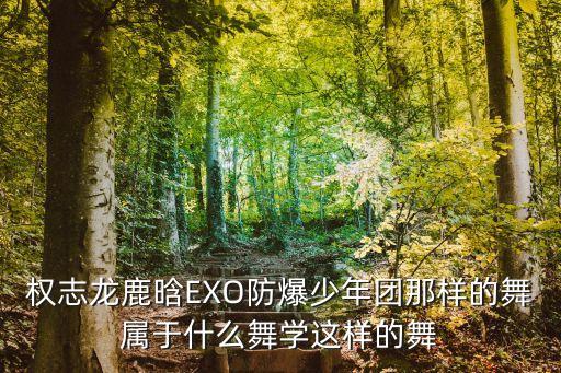 权志龙学过什么舞，权志龙鹿晗EXO防爆少年团那样的舞属于什么舞学这样的舞
