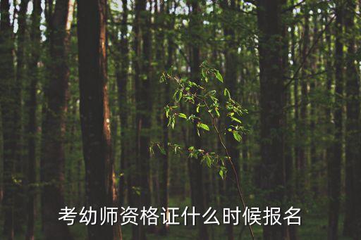 考幼师资格证什么时候报名