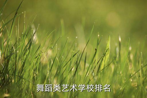 舞蹈类艺术学校排名