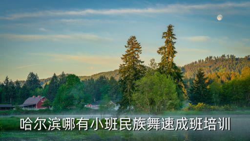 哈尔滨民族舞蹈哪里有，哈尔滨最权威的专业舞蹈培训机构在哪里