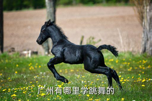 广州有哪里学跳舞的