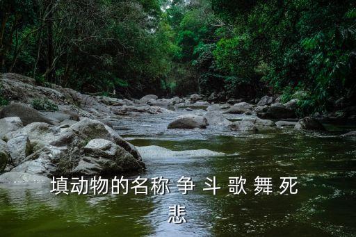 广场舞争什么争动动广场舞，填动物的名称 争 斗 歌 舞 死 悲