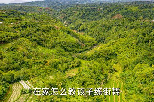少儿街舞入门教程，我是个女生现在15了求简单易学的街舞入门教程谢谢