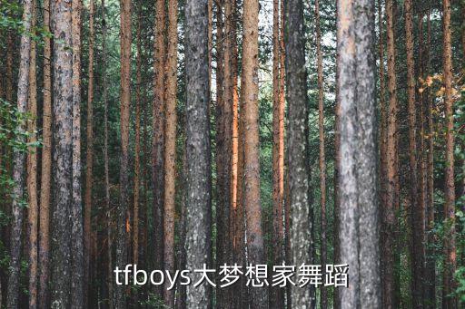 tfboys大梦想家舞蹈