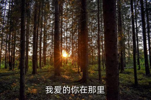 我爱的你在哪里广场舞，我爱的你在那里