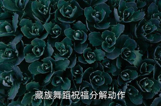 藏族舞蹈祝福分解动作