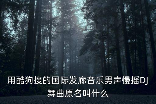 用酷狗搜的国际发廊音乐男声慢摇DJ舞曲原名叫什么