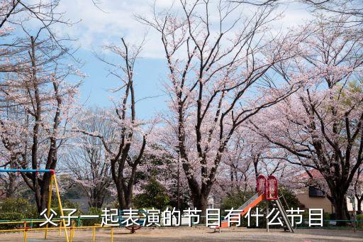 父子一起表演的节目有什么节目