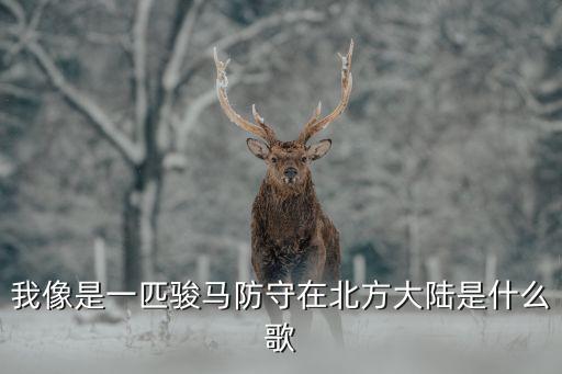 我像是一匹骏马防守在北方大陆是什么歌