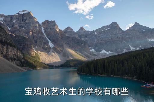 宝鸡收艺术生的学校有哪些